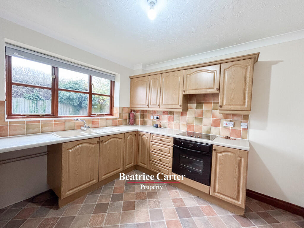 IMG_8716