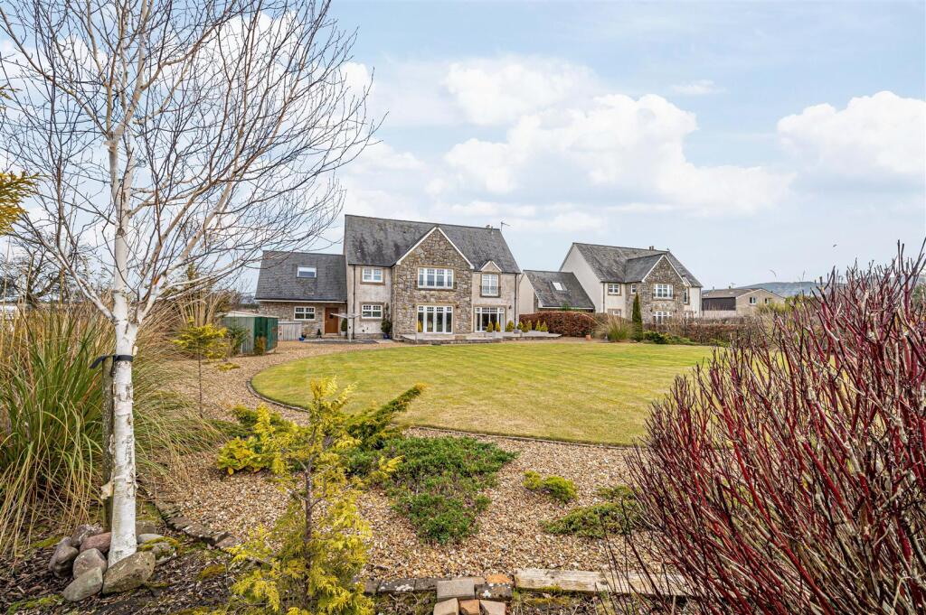 untitled (38 of 1).JPG