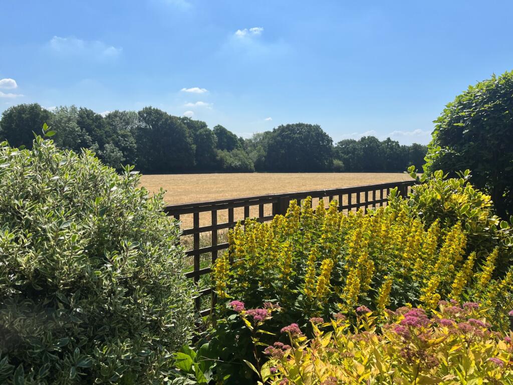 View From Garden