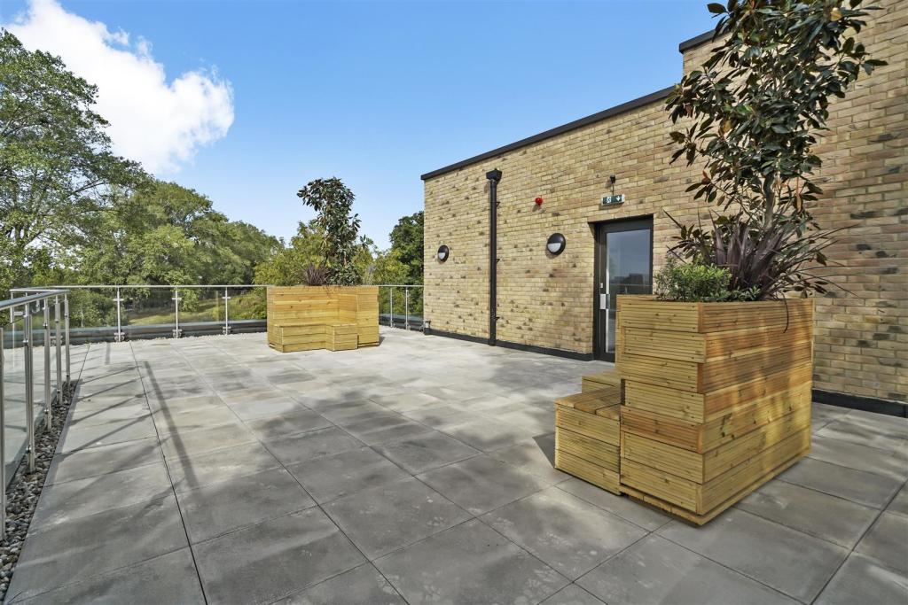Roof 3.jpg