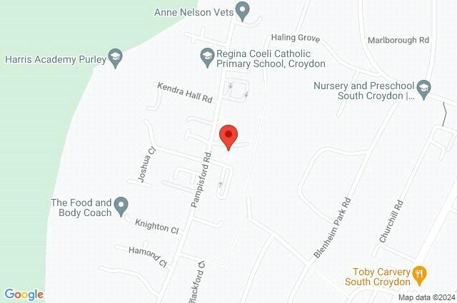 Google Maps Image