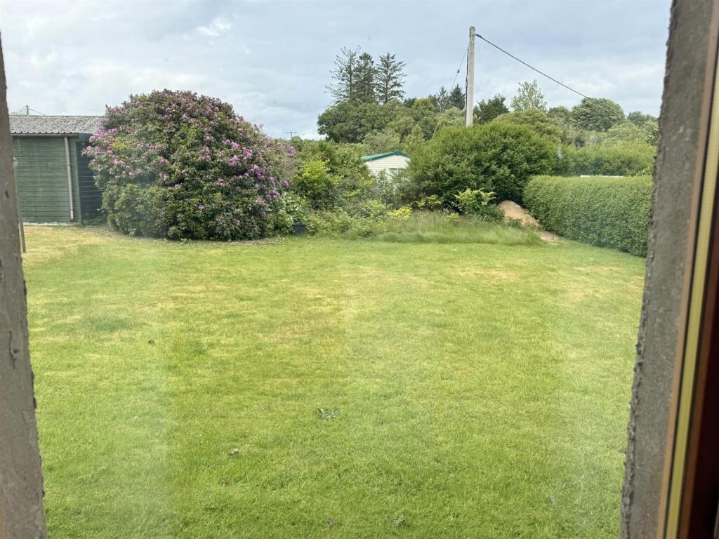 Rear garden from the study