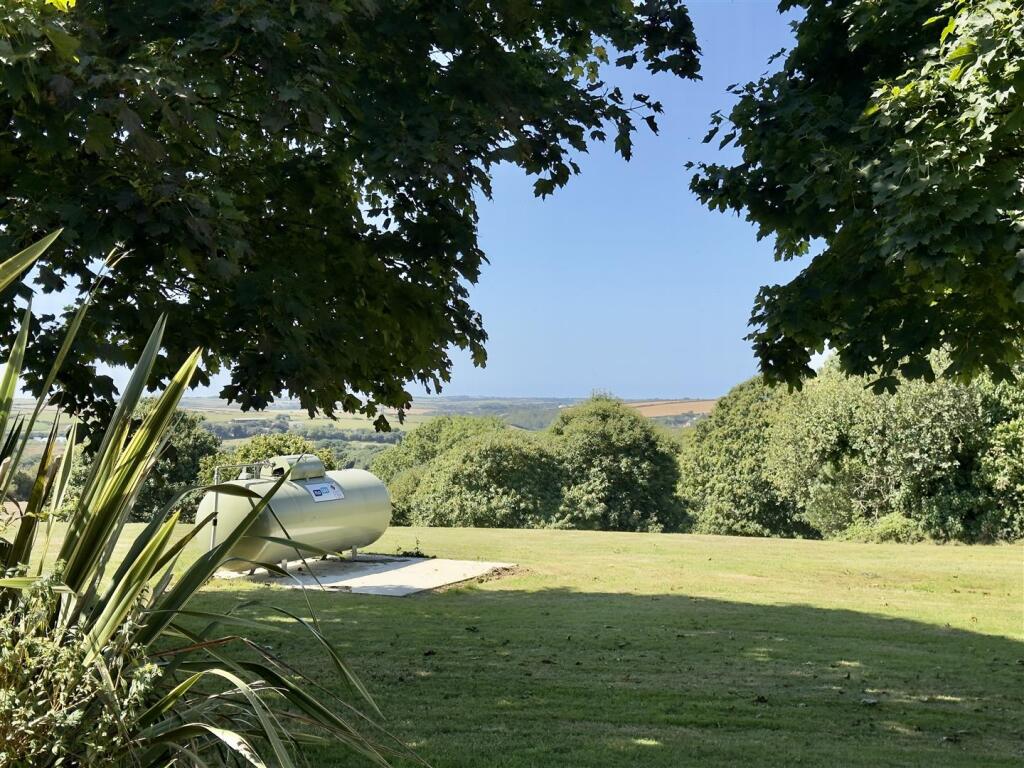 IMG_9074.jpeg