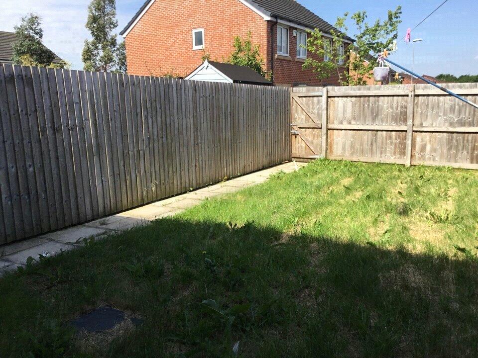 Picture 15