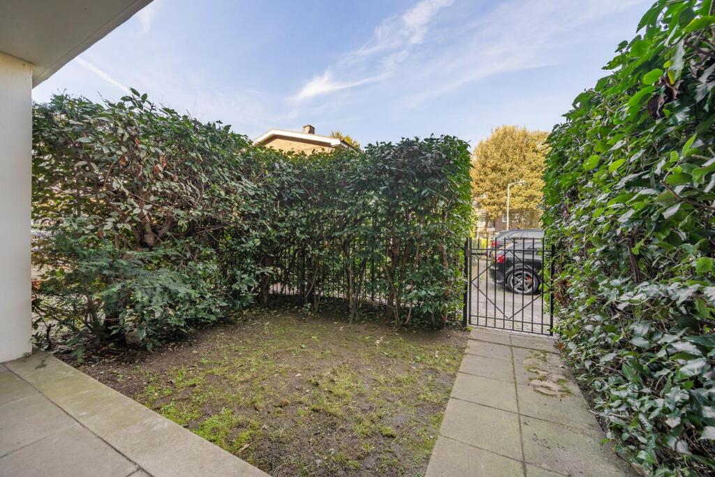 Front garden.jpg