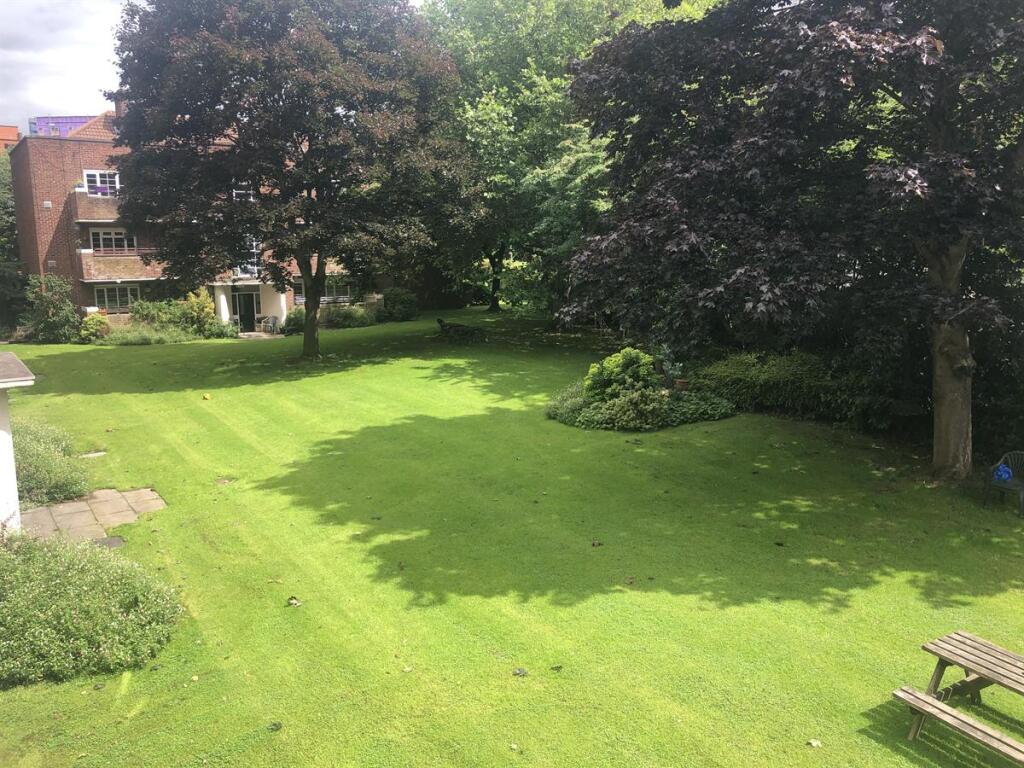 Rear Gardens