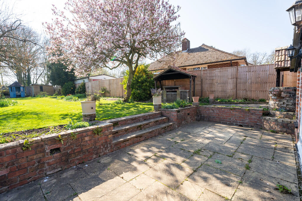 Yew Tree-10