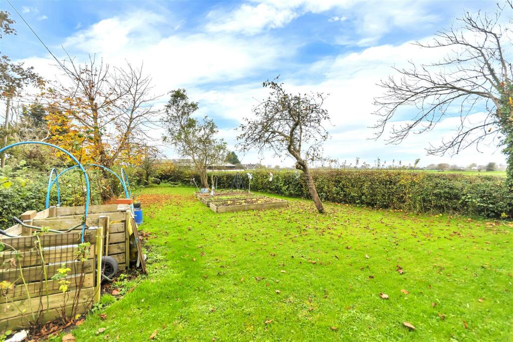 garden.jpg