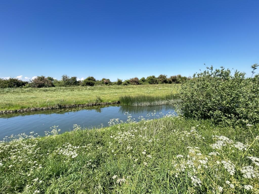 IMG_3387.jpeg