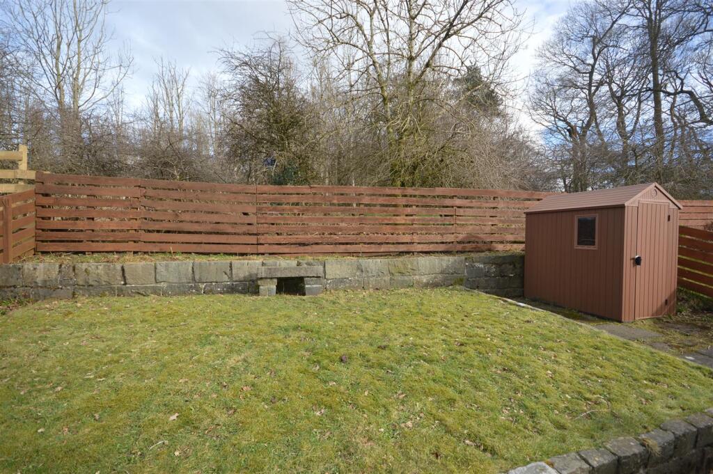 Garden 2 -2.JPG