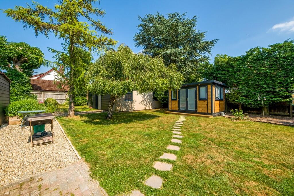 1440px Beech Tree...