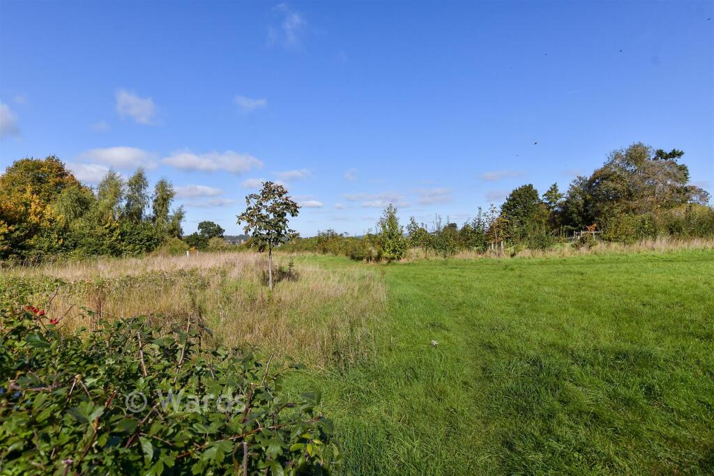 Surrounding Area