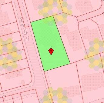 Picture 25
