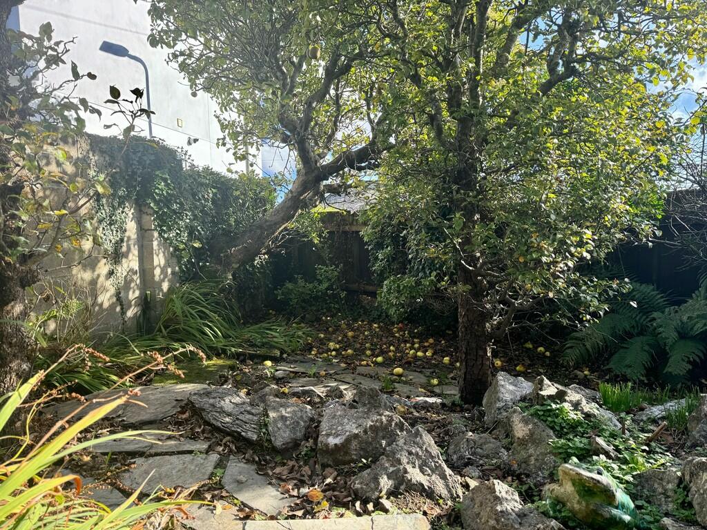 side garden