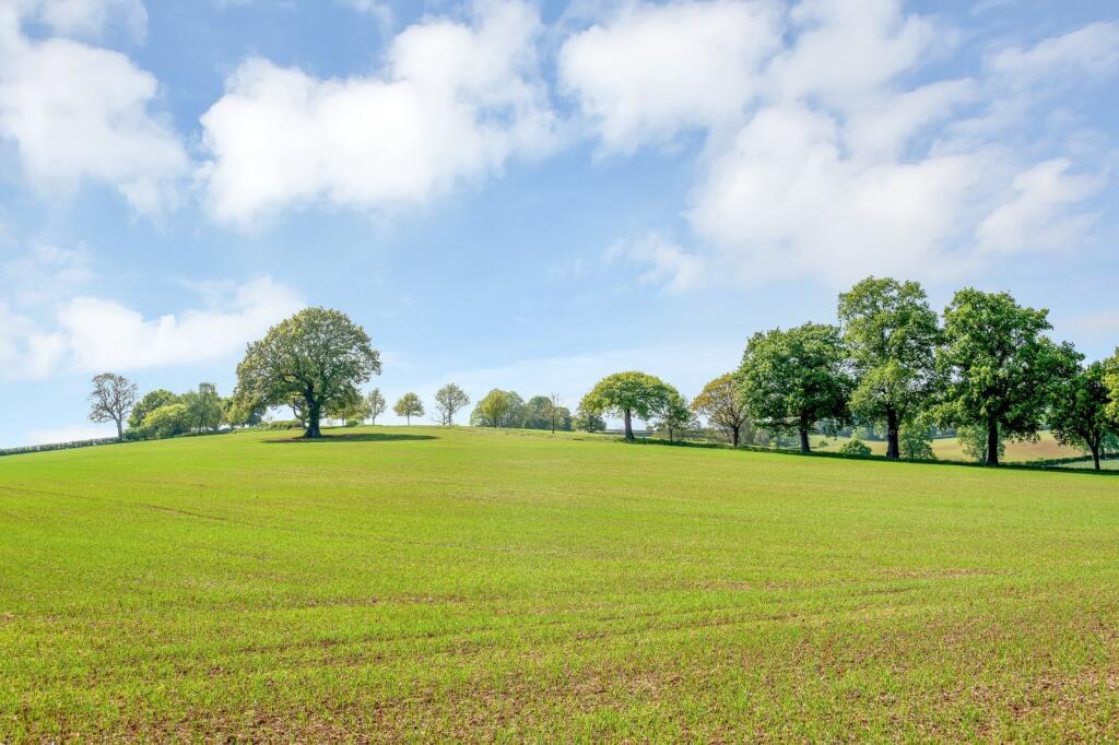 Farmland