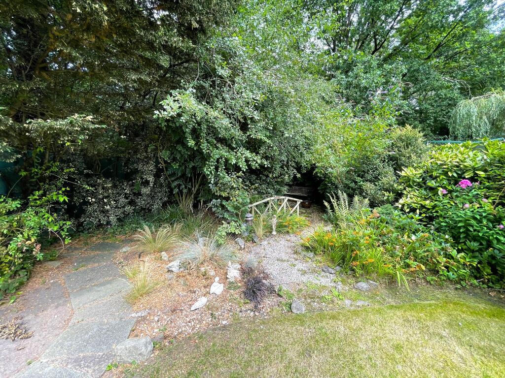 Photograph 22
