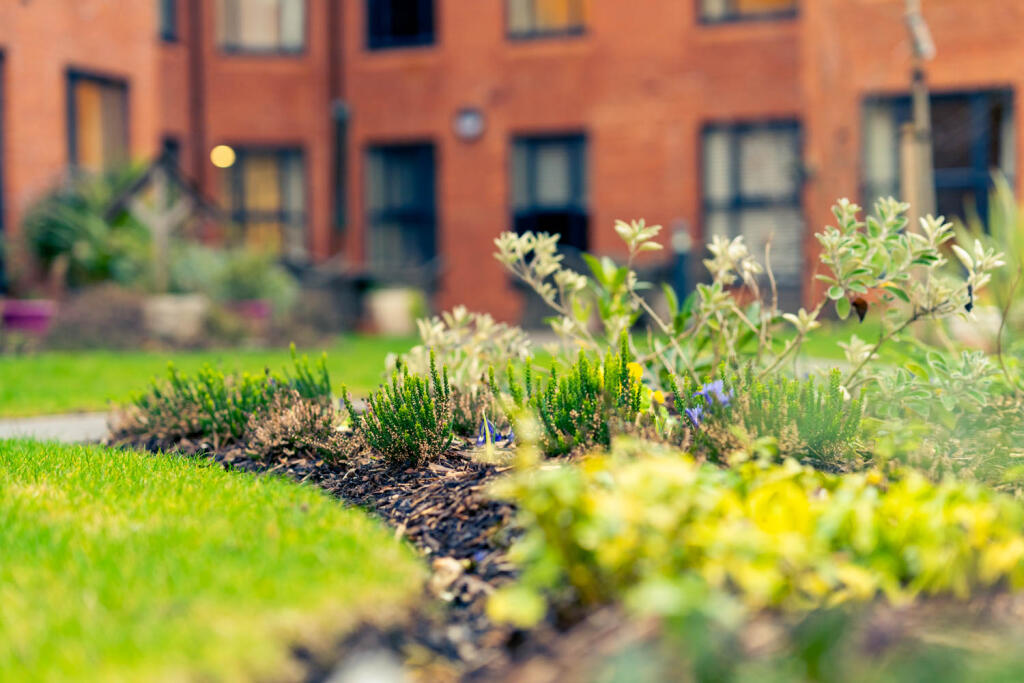 Milward Place Gardens  