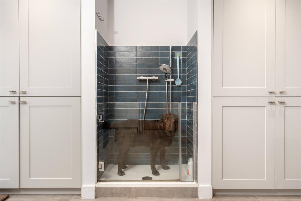 Dog Shower