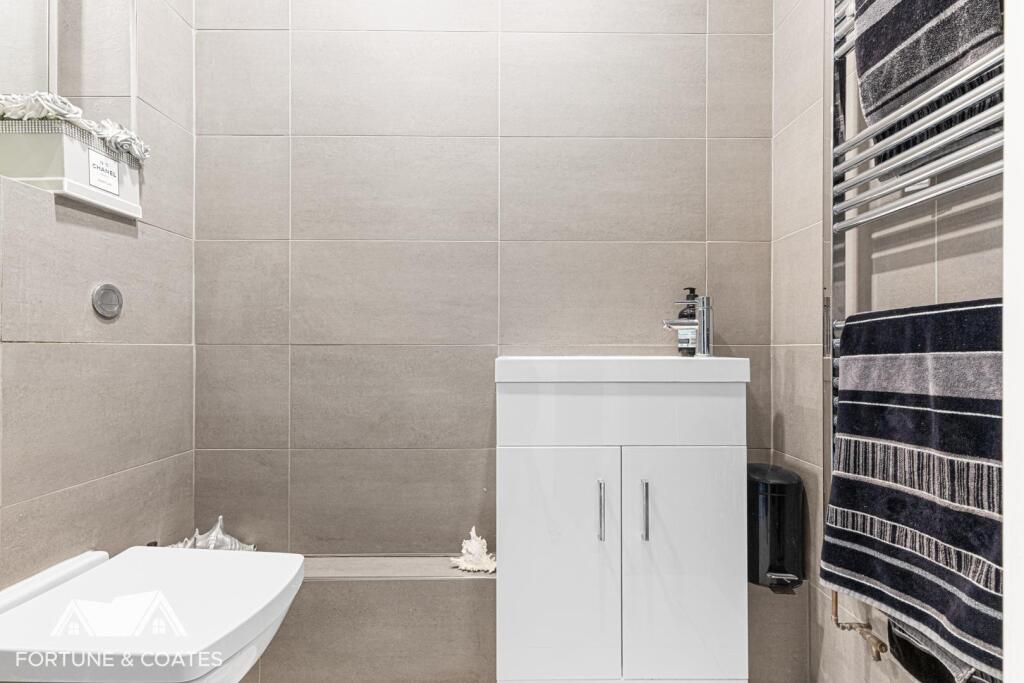 GreatAugerStreet_22.jpg