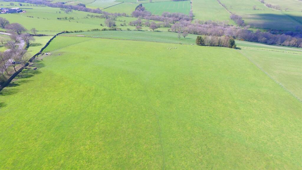 DJI_0493.JPG