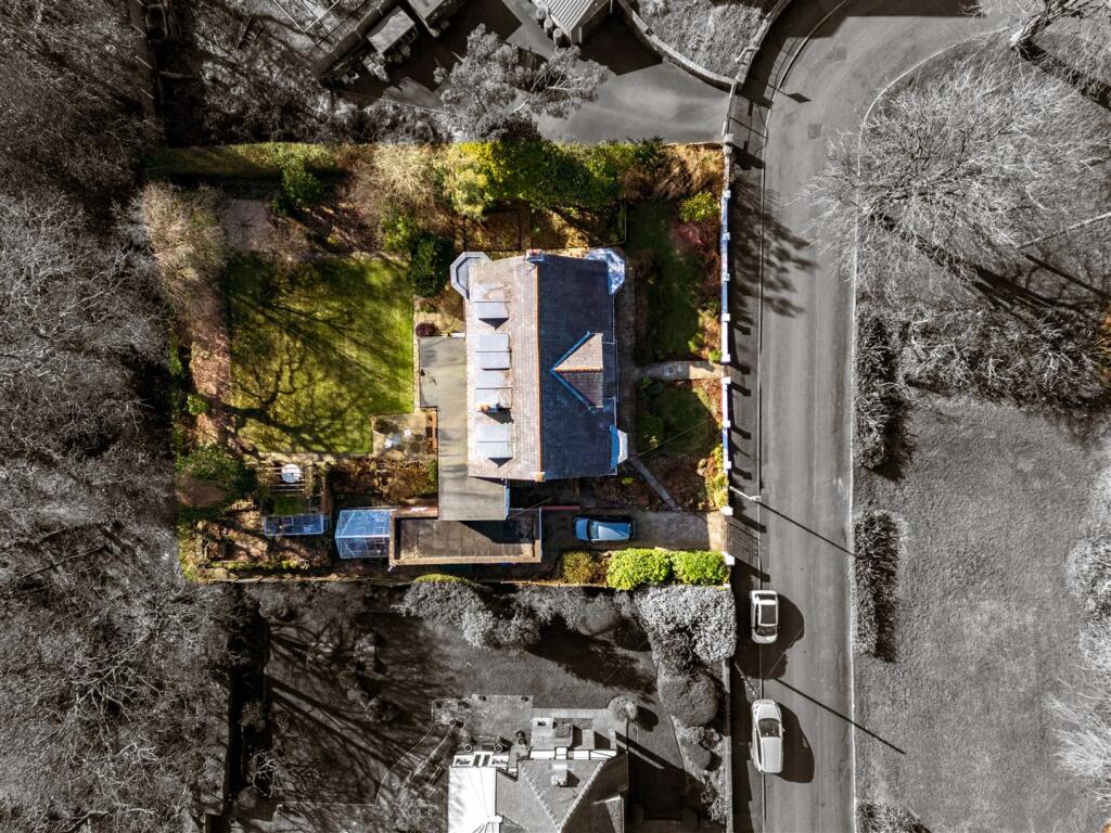 DJI_0647-2.jpg