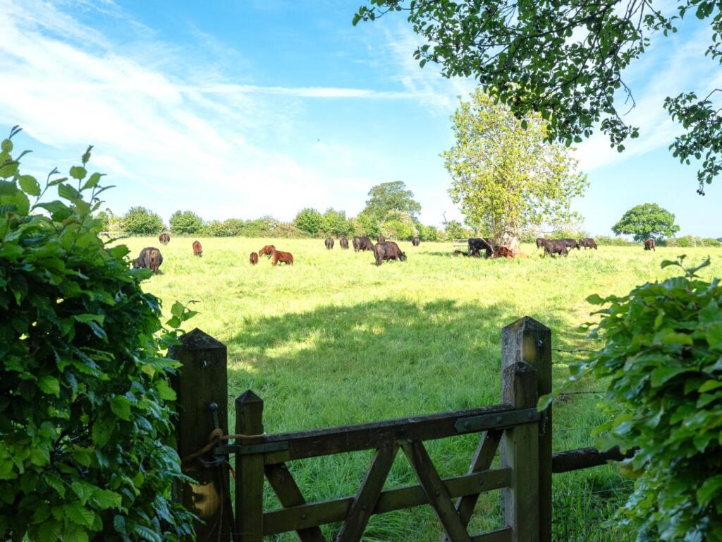 Meadow Cottage-30.JPG