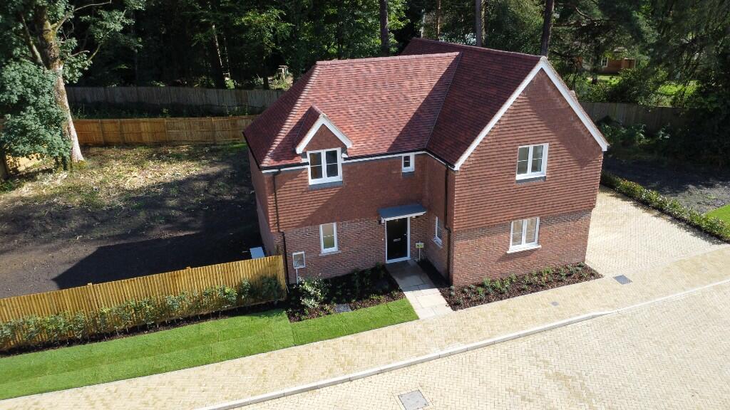 plot 5