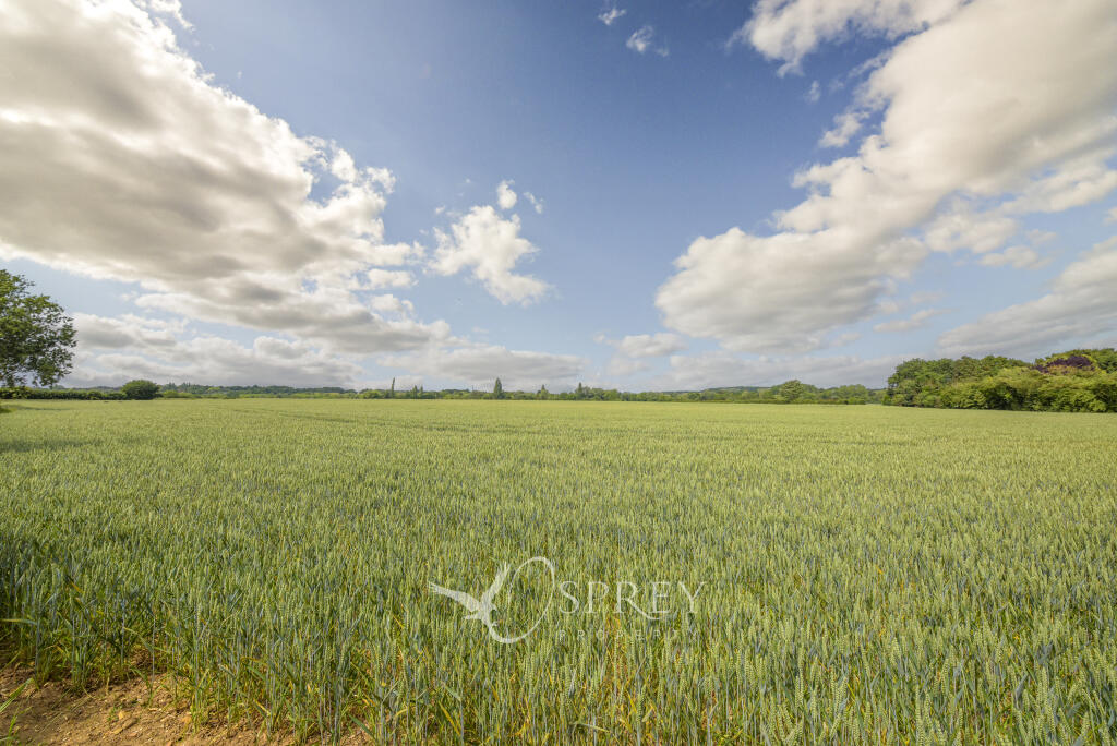 Countryside Views