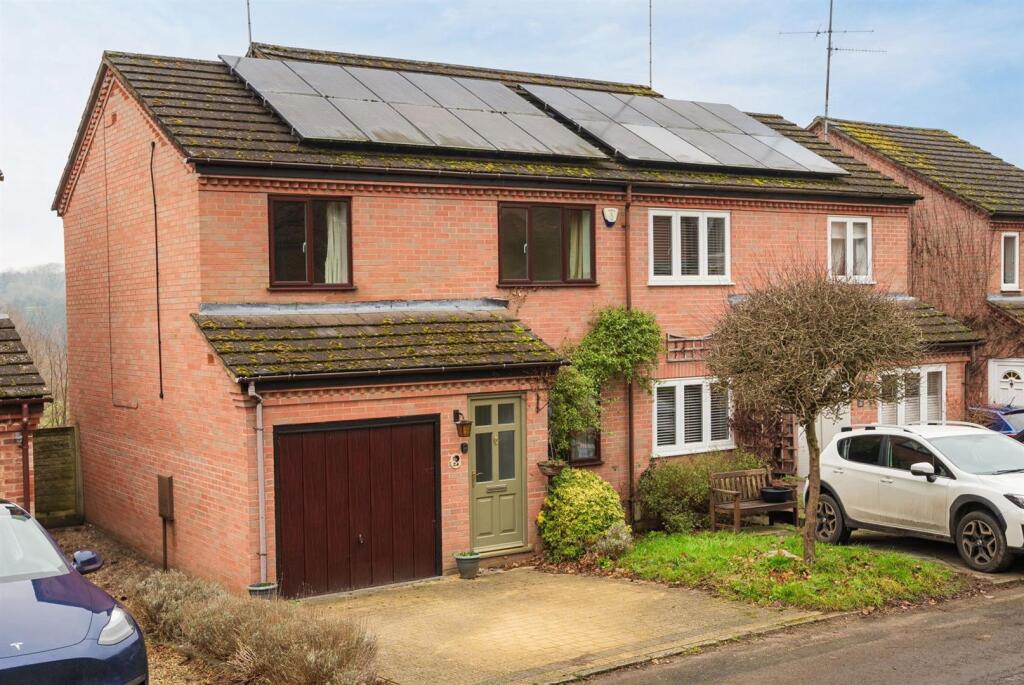 250203-1602 cropped.jpeg