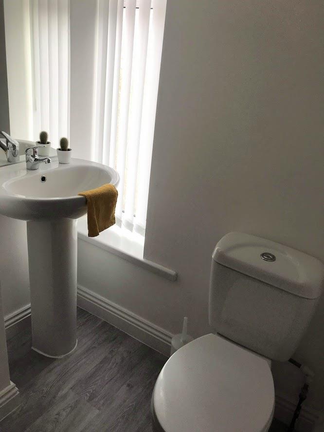 toilet.JPG