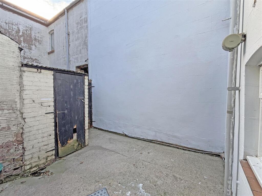 Backyard.JPG