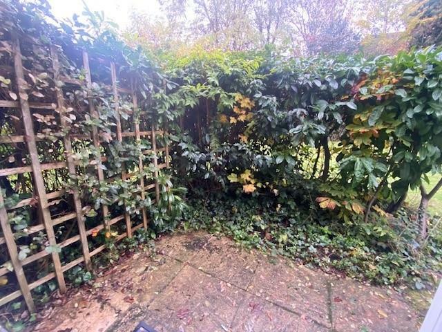 4 Clarendon House garden patio.jpg