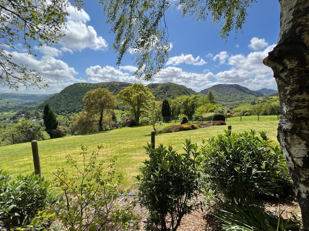 PHOTO-2023-05-15-20-36-07 (2).jpg