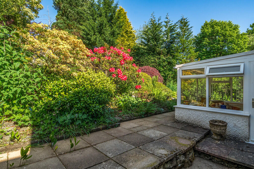 Back garden