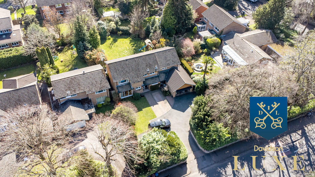 Logo Luxe (53 of ...