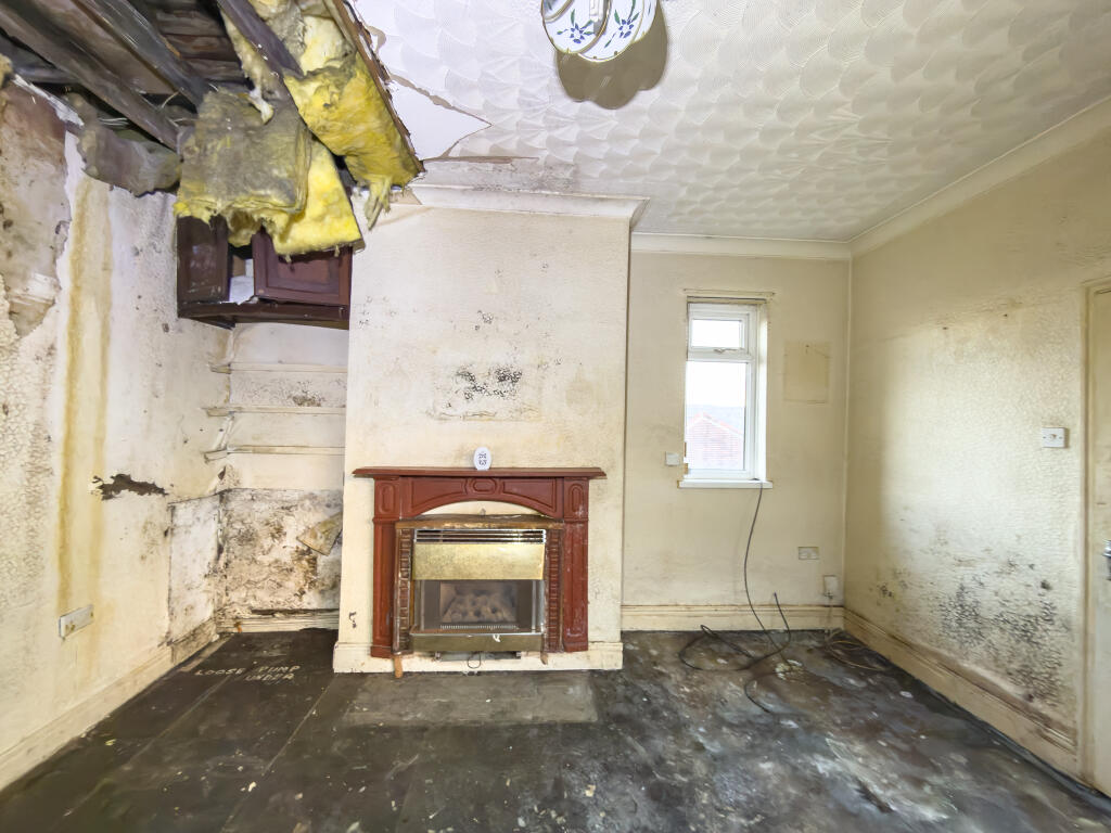 IMG 9305 T202512121005.jpg