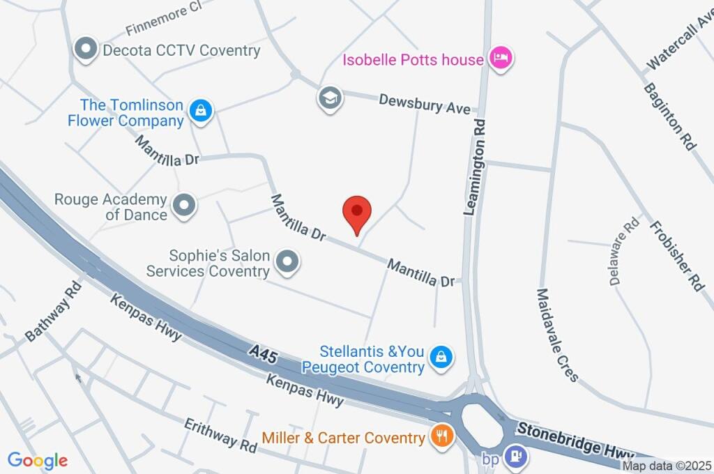 Google Maps Image