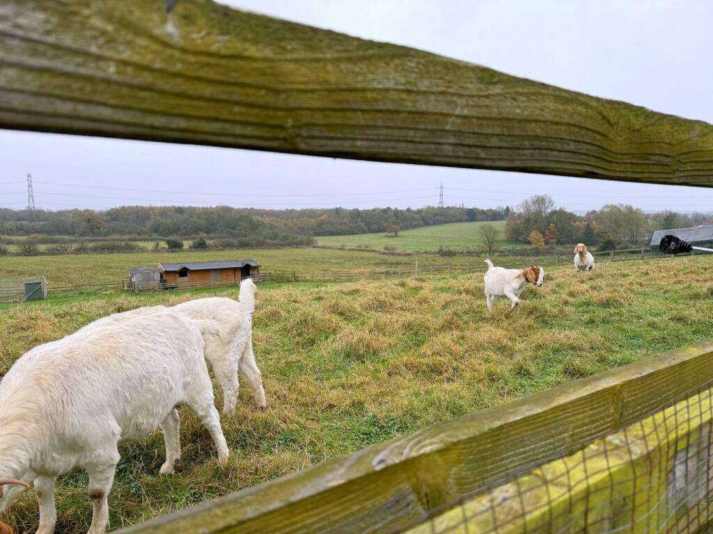 Friendly Neighbours