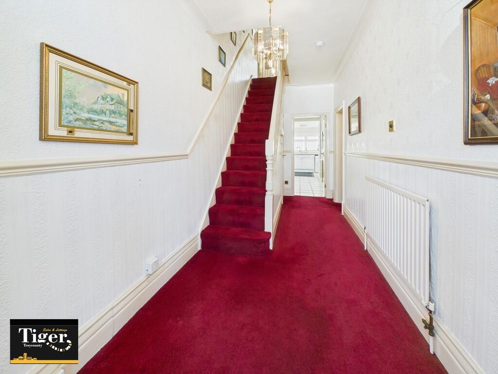 CAM02176G0-PR0558...