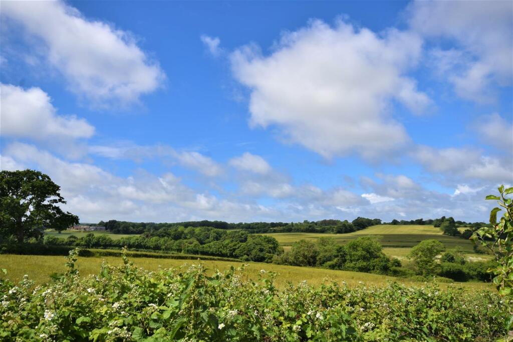 View from Garden
