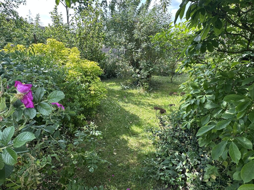 Garden 2.JPG