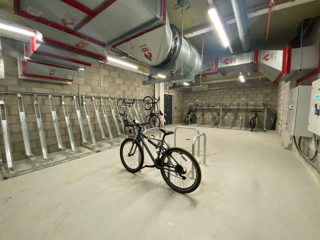 bike.jpg