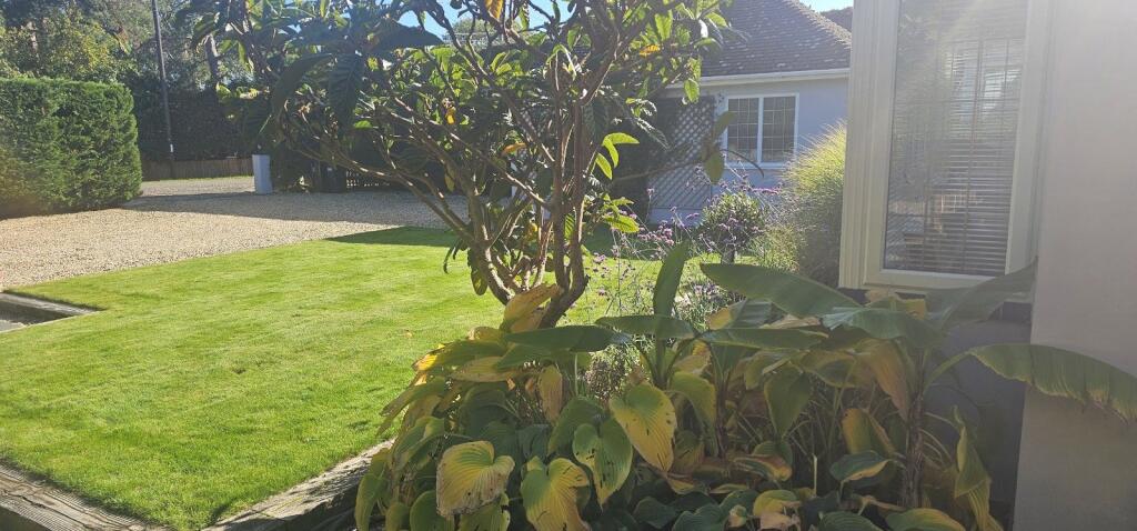 Front Garden