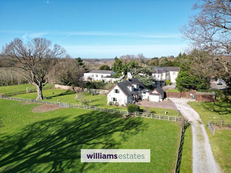 Drone View