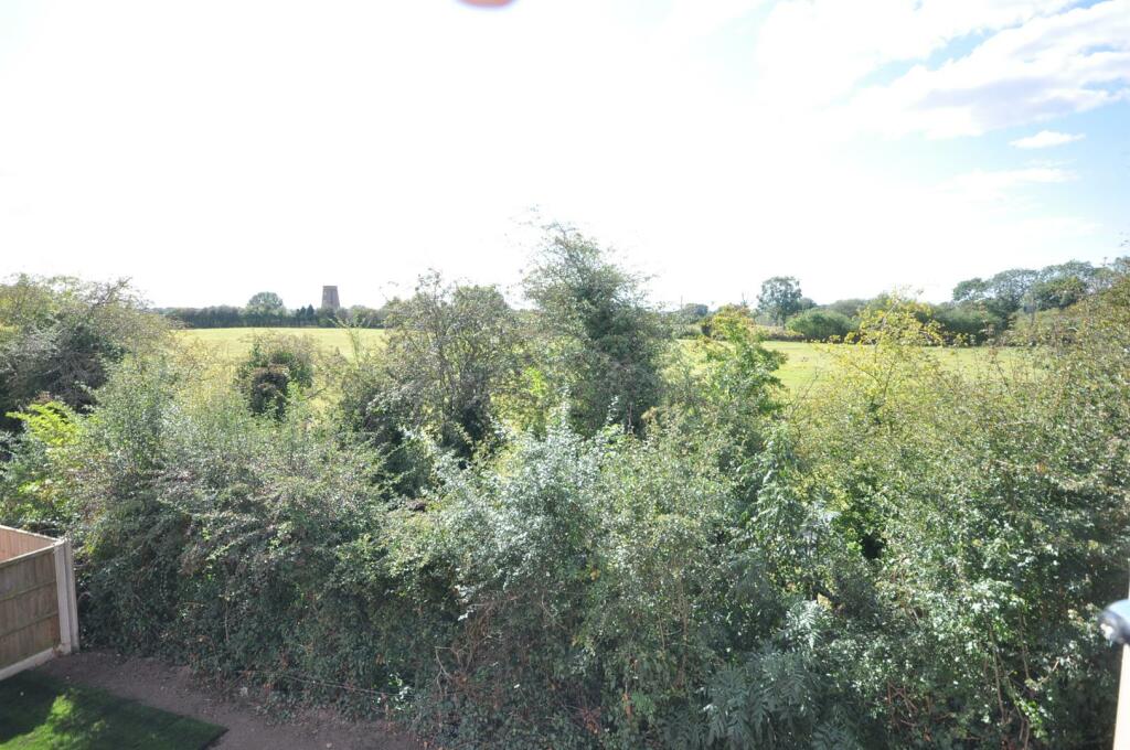 DSC_0002.JPG