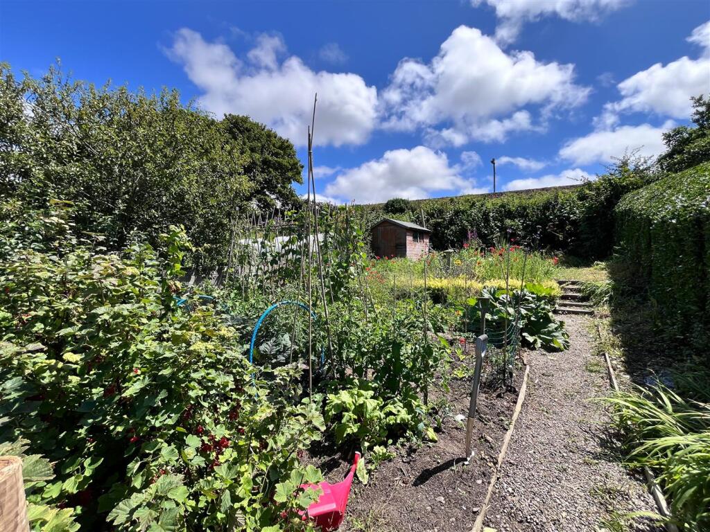 Veggie PLot