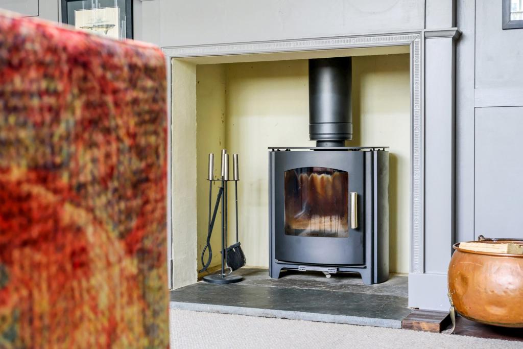 Multi-Fuel Stove