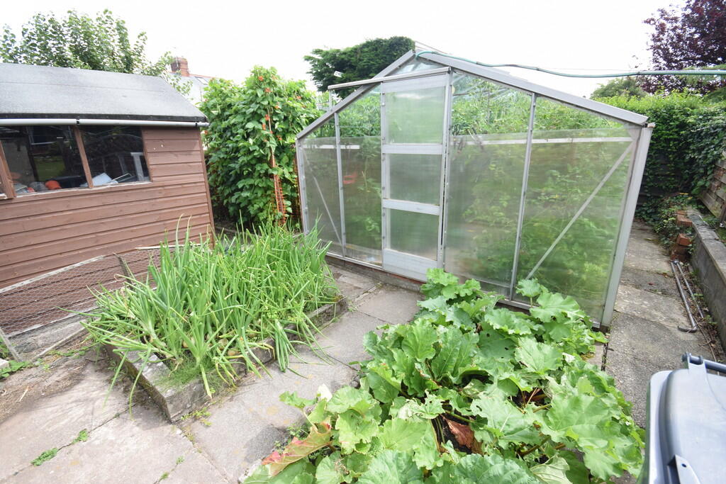 GREENHOUSE 