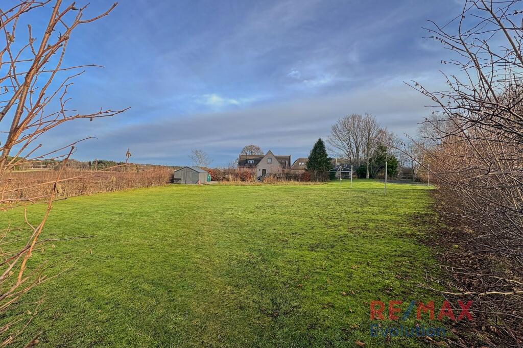 Lawn