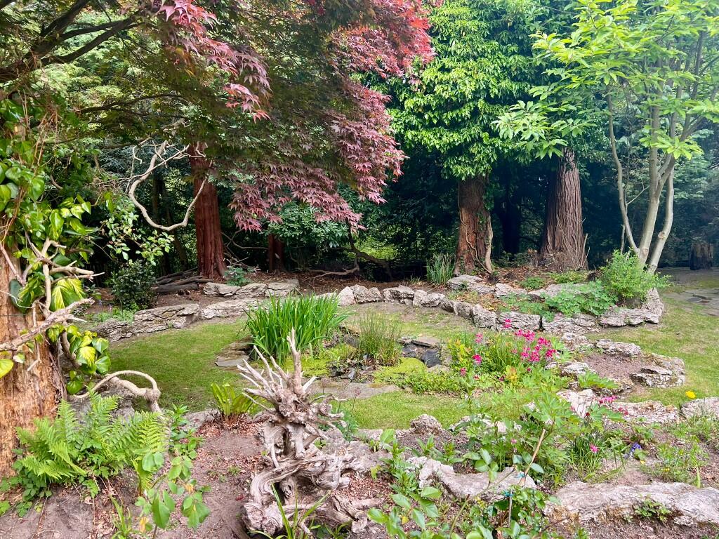 Pond Area